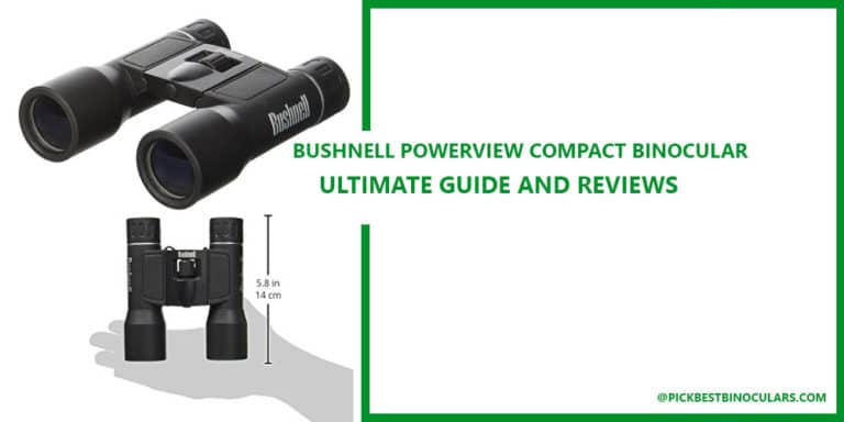 Bushnell PowerView Compact Folding Binocular Review