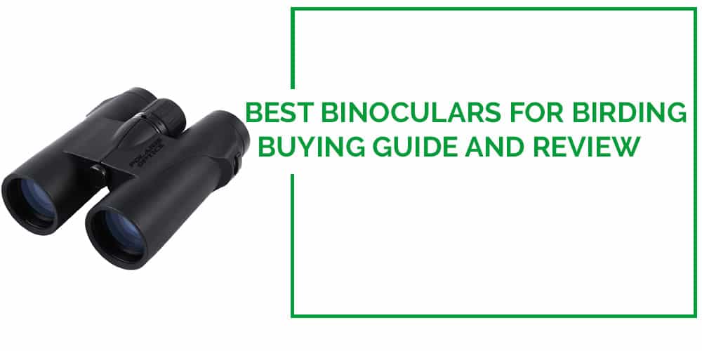 best binoculars for birding february 2018 buyer s guide best binoculars for birding february 2018 buyer s guide