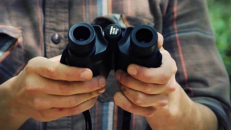 Best Compact Binoculars That’re Bang For The Bucks [2024]
