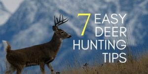 10 Insanely Simple Deer Hunting Tips