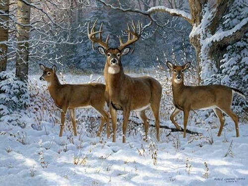 early hunting seasons