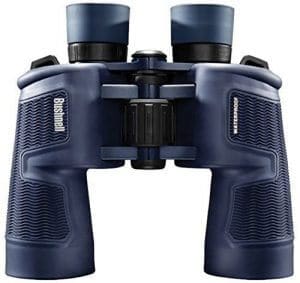 bushnell h2o 8x42 review: best 10x42 binoculars for birding