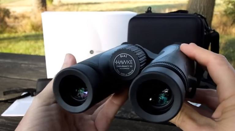 which-binocular-magnification-is-better-8x-or-10x-huntingfrog