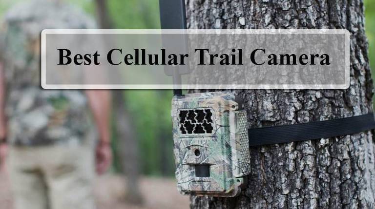 7 Best Cellular Trail Camera Reviews 2024 With Buying Guide
