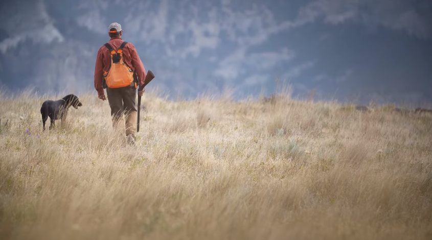 Exploring The Top 7 Upland Bird Hunting States Of 2023