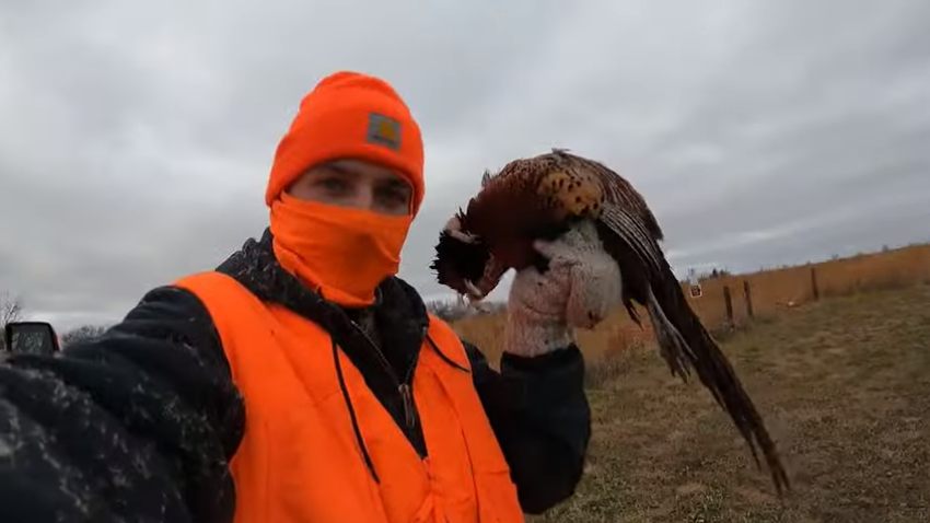 Techniques for Successful Upland Bird Hunting