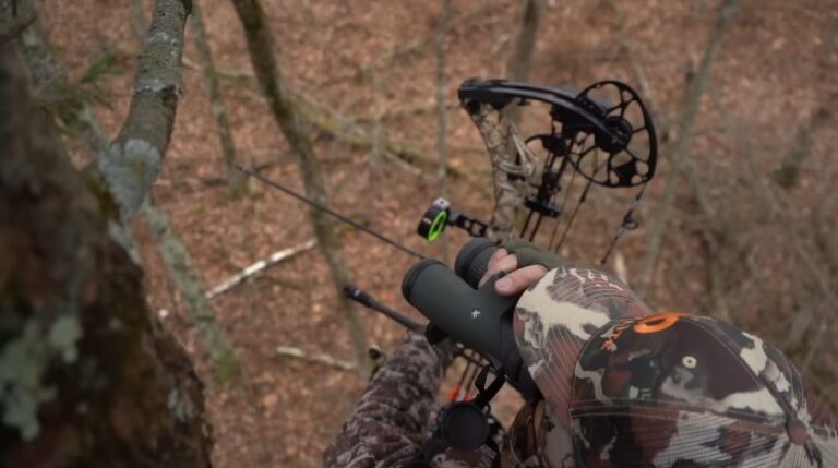 How To Hunt From A Tree Stand- [A Beginners Guide]