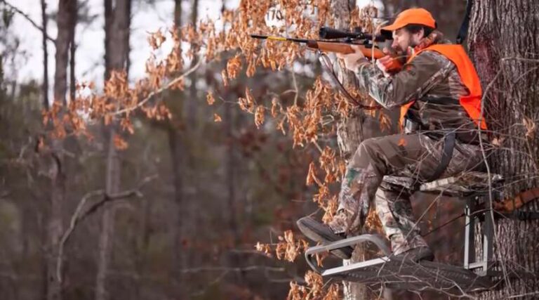 What Are The Different Types of Hunting Tree Stands