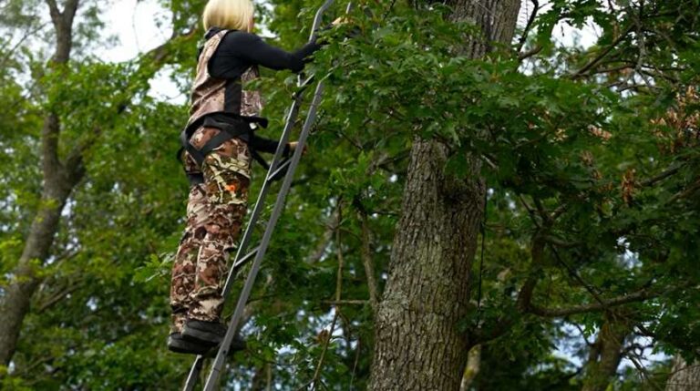 Essential Items For Tree Stand Safety: Protect Yourself While Hunting