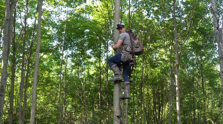 The Gears You Must Need To Climb The Trees