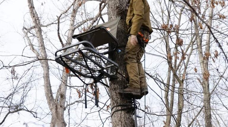 Top Tree Stand Maintenance Tips for Safe and Successful Hunting Seasons